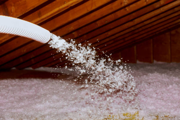 Best Attic Insulation Installation  in Pascoag, RI